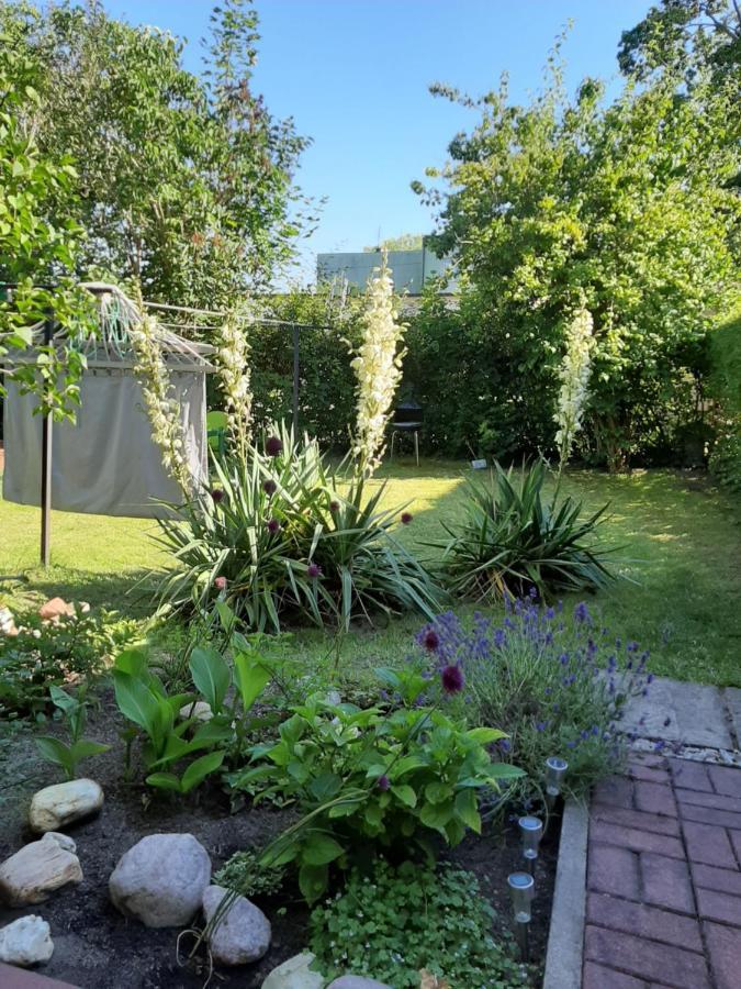Apartament - 3 Pokojowe Dwupoziomowe Mieszkanie Z Ogrodem Krokowa Esterno foto